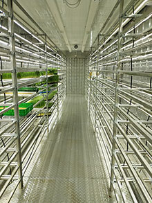 新型集装箱水培牧草设备--金欣农业