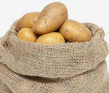青岛港土豆出口有哪些手续，需要注意哪些事项