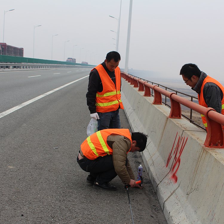 桥梁现场检测 桥施工试验检测 基桩检测