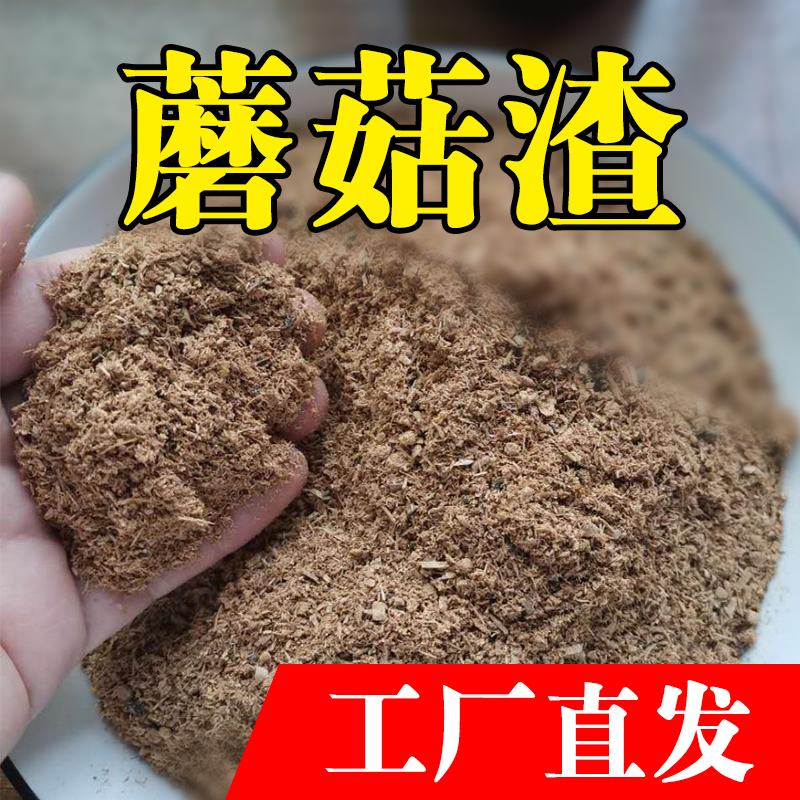 饲料蘑菇渣 山东日照供应蘑菇渣饲料原料 粗纤维原料 家禽畜牧饲料 烘干蘑菇渣图片