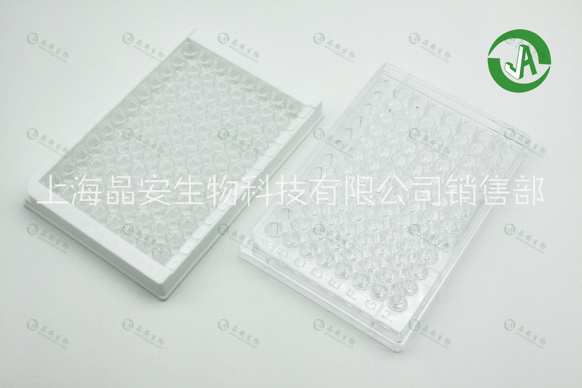 上海晶安96孔氨基化酶标板 表面氨基修饰96孔板 氨基涂层包被酶标板