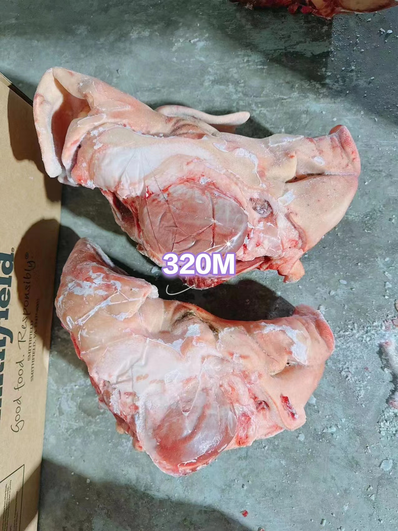 进口猪头，美国320M批发