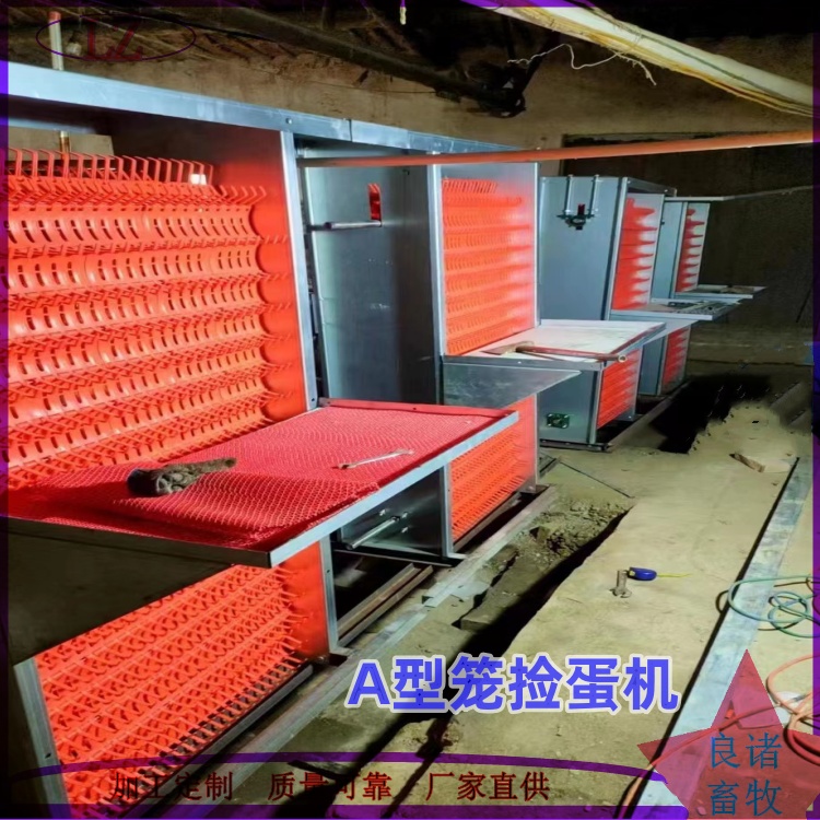 全自动蛋养殖 行车喂料机 H型四层蛋鸡养殖设备自动化设备